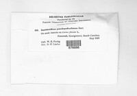 Image Associated With the Occurence